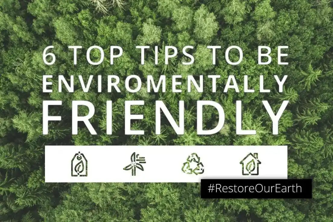 Our Top Tips for an Environmentally Friendly Office