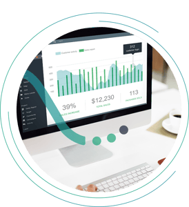 Financial Insights - cicrle