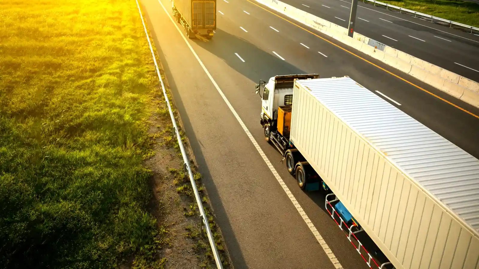 Staying Ahead of the Curve: Strategies to Thrive in 2024 and Beyond